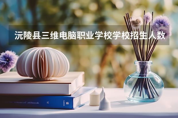 沅陵县三维电脑职业学校学校招生人数（招生简章）