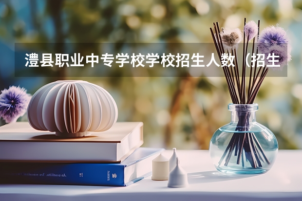 澧县职业中专学校学校招生人数（招生简章）