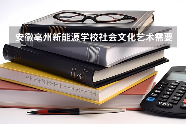 安徽亳州新能源学校社会文化艺术需要学哪些课程及专业能力