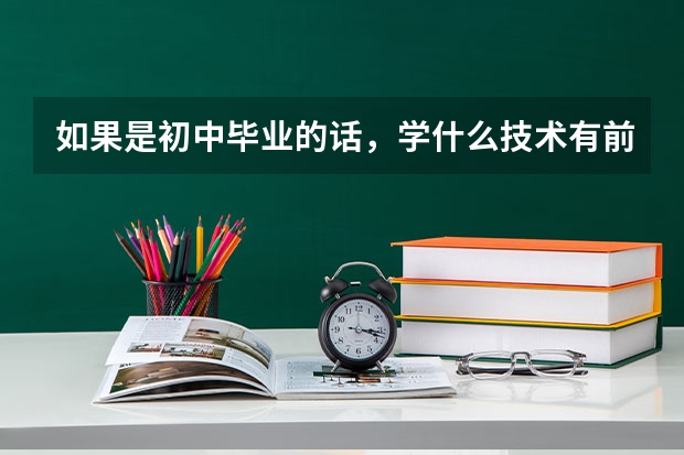 如果是初中毕业的话，学什么技术有前途？学什么好，数学 英语都一窍不通！但我爱好电脑！学什么呢