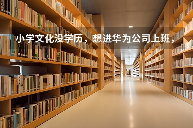 小学文化没学历，想进华为公司上班，请问华为好进吗？